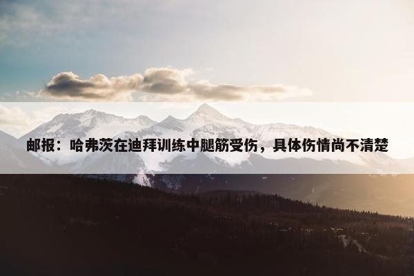 邮报：哈弗茨在迪拜训练中腿筋受伤，具体伤情尚不清楚