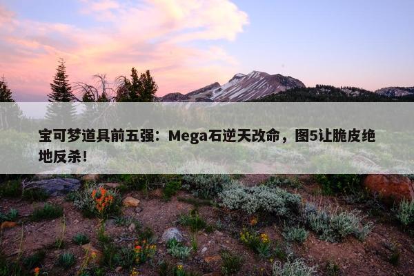 宝可梦道具前五强：Mega石逆天改命，图5让脆皮绝地反杀！