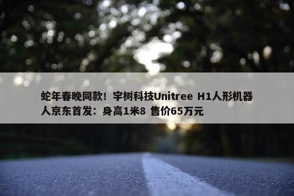 蛇年春晚同款！宇树科技Unitree H1人形机器人京东首发：身高1米8 售价65万元