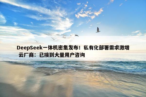 DeepSeek一体机密集发布！私有化部署需求激增 云厂商：已接到大量用户咨询