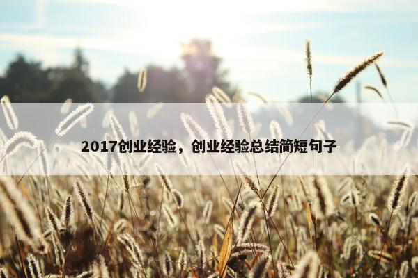 2017创业经验，创业经验总结简短句子