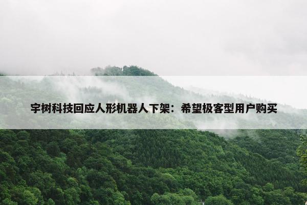 宇树科技回应人形机器人下架：希望极客型用户购买