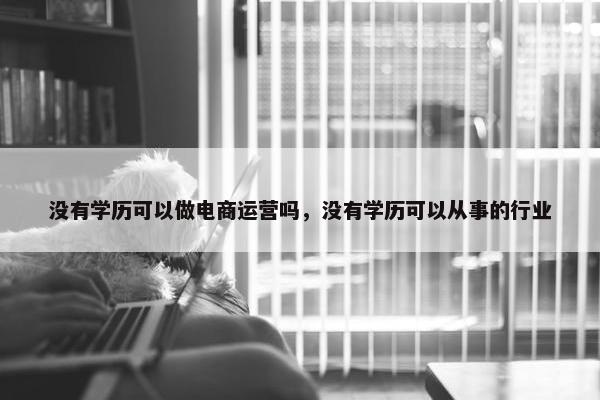 没有学历可以做电商运营吗，没有学历可以从事的行业