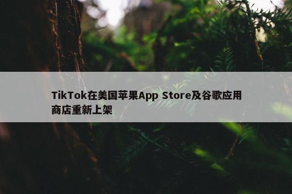 TikTok在美国苹果App Store及谷歌应用商店重新上架