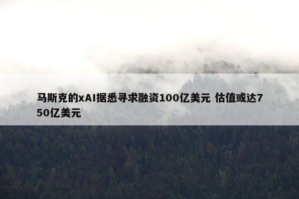 马斯克的xAI据悉寻求融资100亿美元 估值或达750亿美元