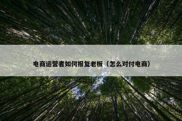 电商运营者如何报复老板（怎么对付电商）