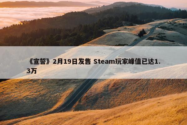 《宣誓》2月19日发售 Steam玩家峰值已达1.3万