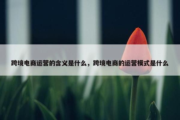 跨境电商运营的含义是什么，跨境电商的运营模式是什么