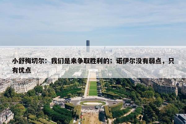 小舒梅切尔：我们是来争取胜利的；诺伊尔没有弱点，只有优点