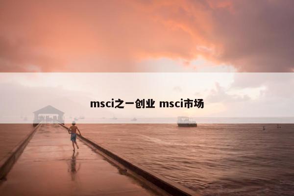 msci之一创业 msci市场