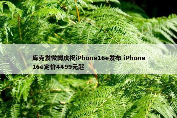 库克发微博庆祝iPhone16e发布 iPhone16e定价4499元起