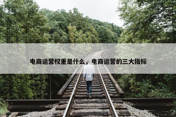 电商运营权重是什么，电商运营的三大指标