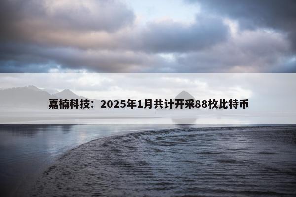 嘉楠科技：2025年1月共计开采88枚比特币