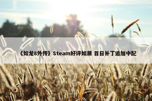 《如龙8外传》Steam好评如潮 首日补丁追加中配