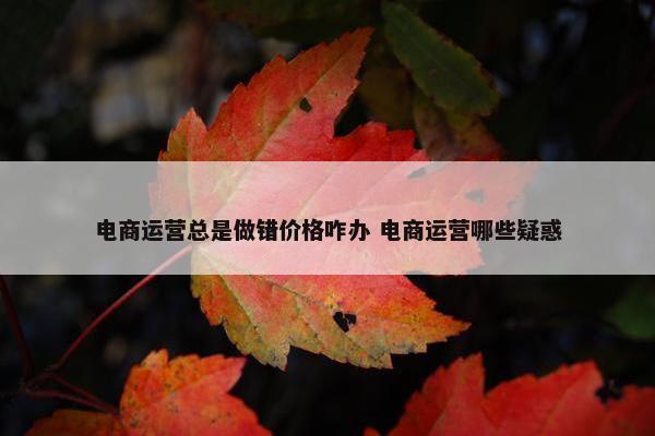 电商运营总是做错价格咋办 电商运营哪些疑惑