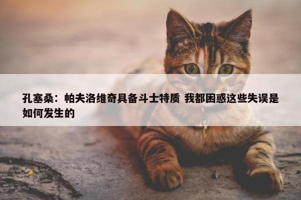 孔塞桑：帕夫洛维奇具备斗士特质 我都困惑这些失误是如何发生的