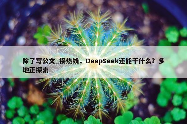 除了写公文_接热线，DeepSeek还能干什么？多地正探索