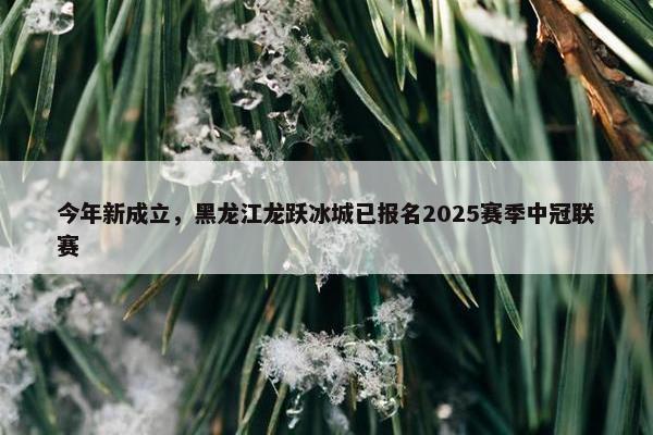 今年新成立，黑龙江龙跃冰城已报名2025赛季中冠联赛