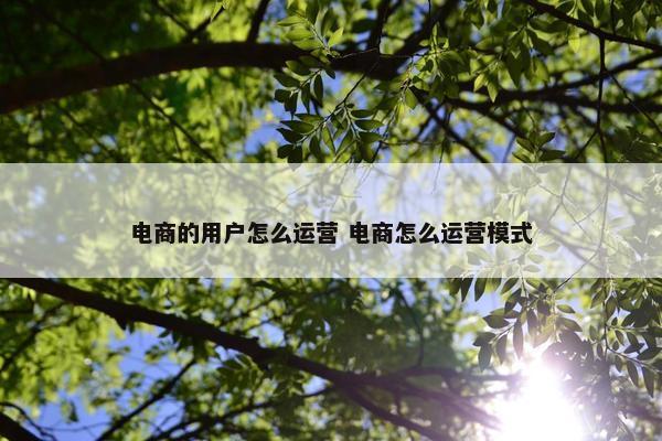 电商的用户怎么运营 电商怎么运营模式