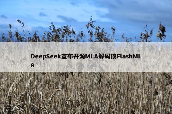 DeepSeek宣布开源MLA解码核FlashMLA