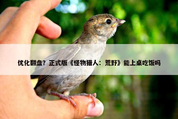 优化翻盘？正式版《怪物猎人：荒野》能上桌吃饭吗