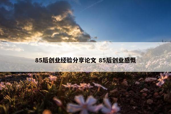 85后创业经验分享论文 85后创业感慨