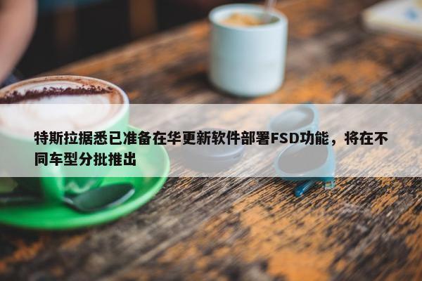 特斯拉据悉已准备在华更新软件部署FSD功能，将在不同车型分批推出