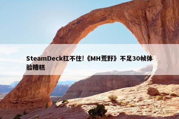 SteamDeck扛不住!《MH荒野》不足30帧体验糟糕