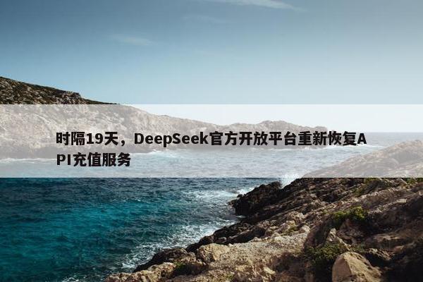 时隔19天，DeepSeek官方开放平台重新恢复API充值服务