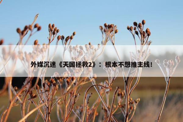 外媒沉迷《天国拯救2》：根本不想推主线！