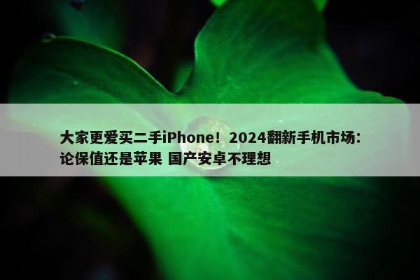 大家更爱买二手iPhone！2024翻新手机市场：论保值还是苹果 国产安卓不理想