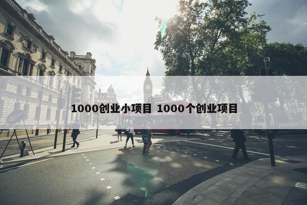 1000创业小项目 1000个创业项目