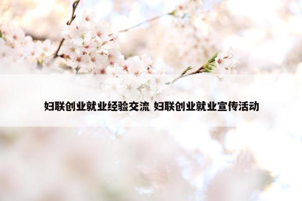 妇联创业就业经验交流 妇联创业就业宣传活动