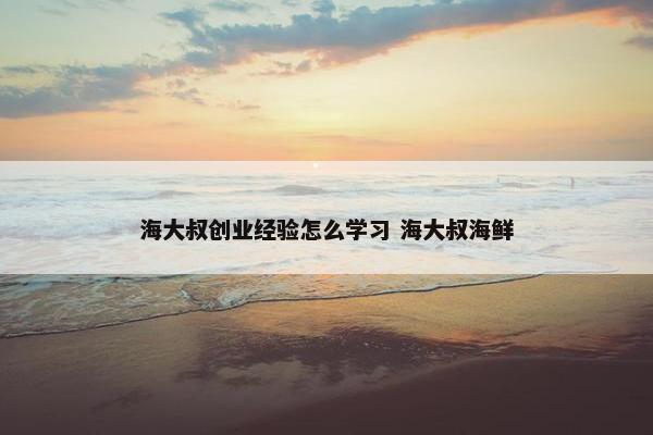 海大叔创业经验怎么学习 海大叔海鲜