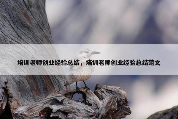 培训老师创业经验总结，培训老师创业经验总结范文