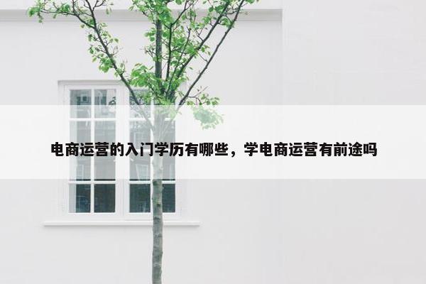 电商运营的入门学历有哪些，学电商运营有前途吗