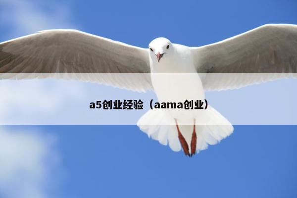 a5创业经验（aama创业）