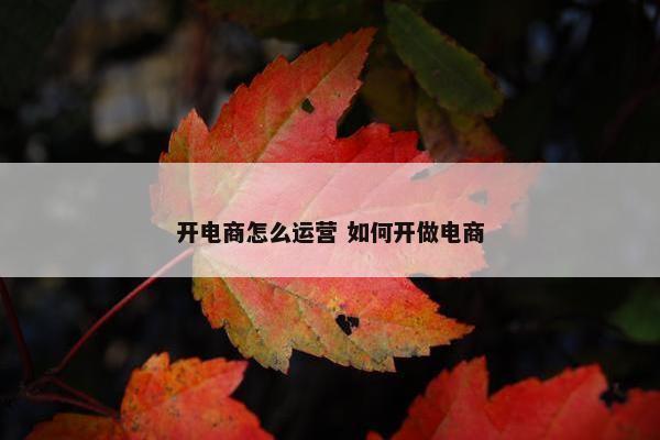 开电商怎么运营 如何开做电商