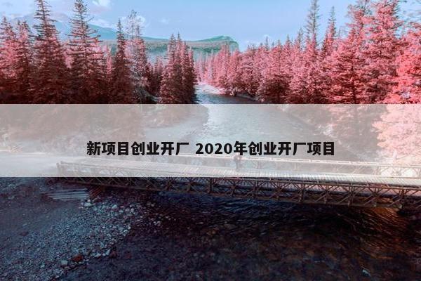 新项目创业开厂 2020年创业开厂项目