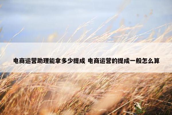 电商运营助理能拿多少提成 电商运营的提成一般怎么算