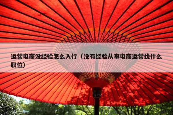 运营电商没经验怎么入行（没有经验从事电商运营找什么职位）