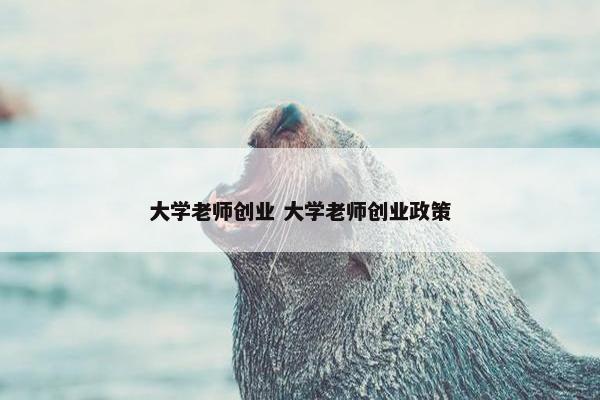 大学老师创业 大学老师创业政策