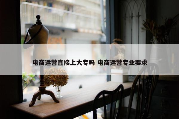 电商运营直接上大专吗 电商运营专业要求