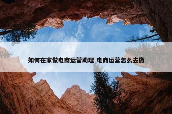 如何在家做电商运营助理 电商运营怎么去做