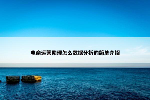 电商运营助理怎么数据分析的简单介绍