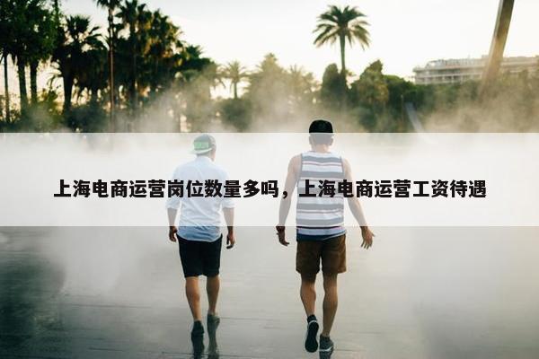 上海电商运营岗位数量多吗，上海电商运营工资待遇