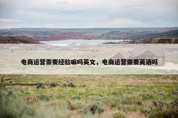 电商运营需要经验嘛吗英文，电商运营需要英语吗