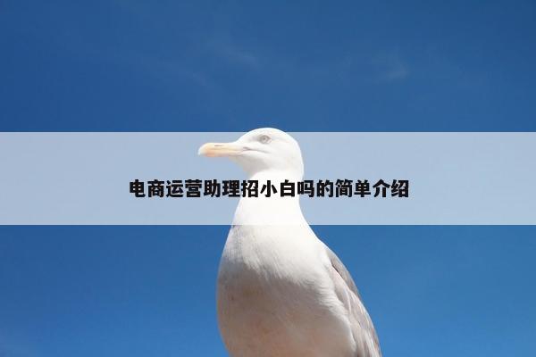 电商运营助理招小白吗的简单介绍