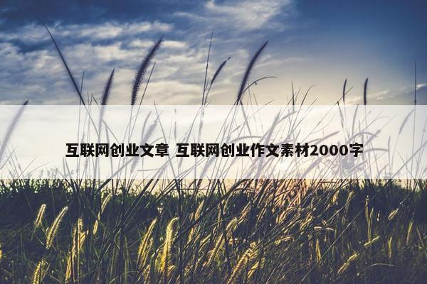 互联网创业文章 互联网创业作文素材2000字