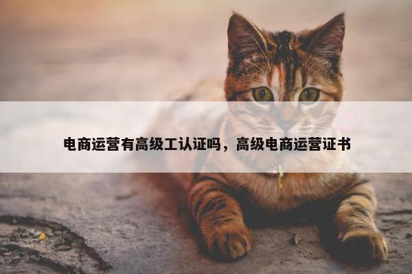 电商运营有高级工认证吗，高级电商运营证书